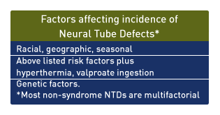 NTDs which are not related to a syndrome
