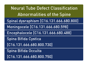 Neural tube defect classification abnormalities of fetal spine