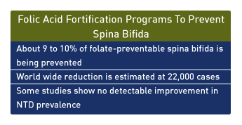 Folic acid fortification programs