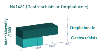 Fetal abdominal gastroschisis or omphalocele