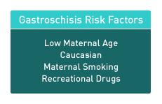 Fetal abdominal gastroschisis risk factors
